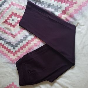 Ann Taylor dress pants